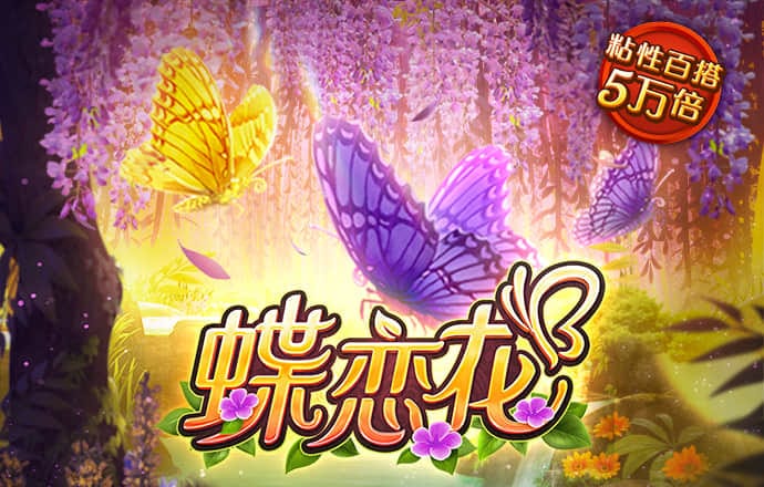 KB体育登录App