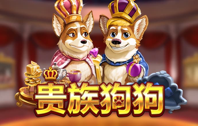小鸟体育官网入口手机版